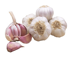 foto produto